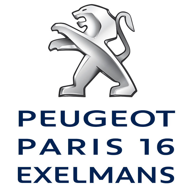 Peugeot rédacteur web