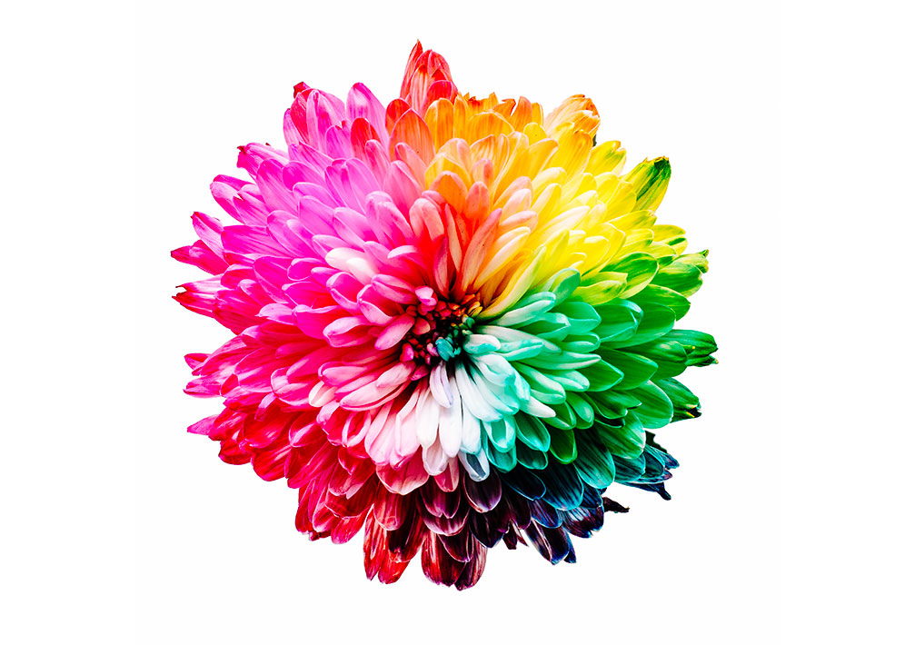couleurs-logo quelles couleurs pour un logo ?
